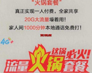 家庭共享流量卡套餐方案流量卡-随身WiFi-卡号-兼职副业-注册卡-顶鸿物联顶鸿物联