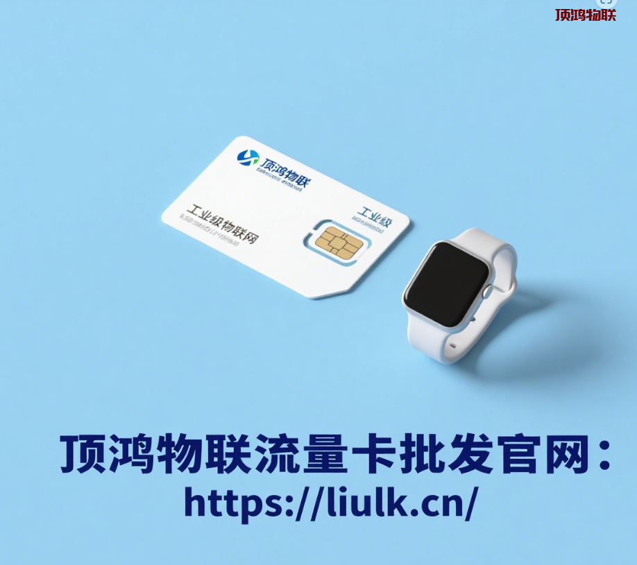流量卡代理加盟需要多少资金流量卡-随身WiFi-卡号-兼职副业-注册卡-顶鸿物联顶鸿物联