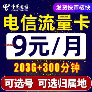 电信流量卡流量超出收费流量卡-随身WiFi-卡号-兼职副业-注册卡-顶鸿物联顶鸿物联